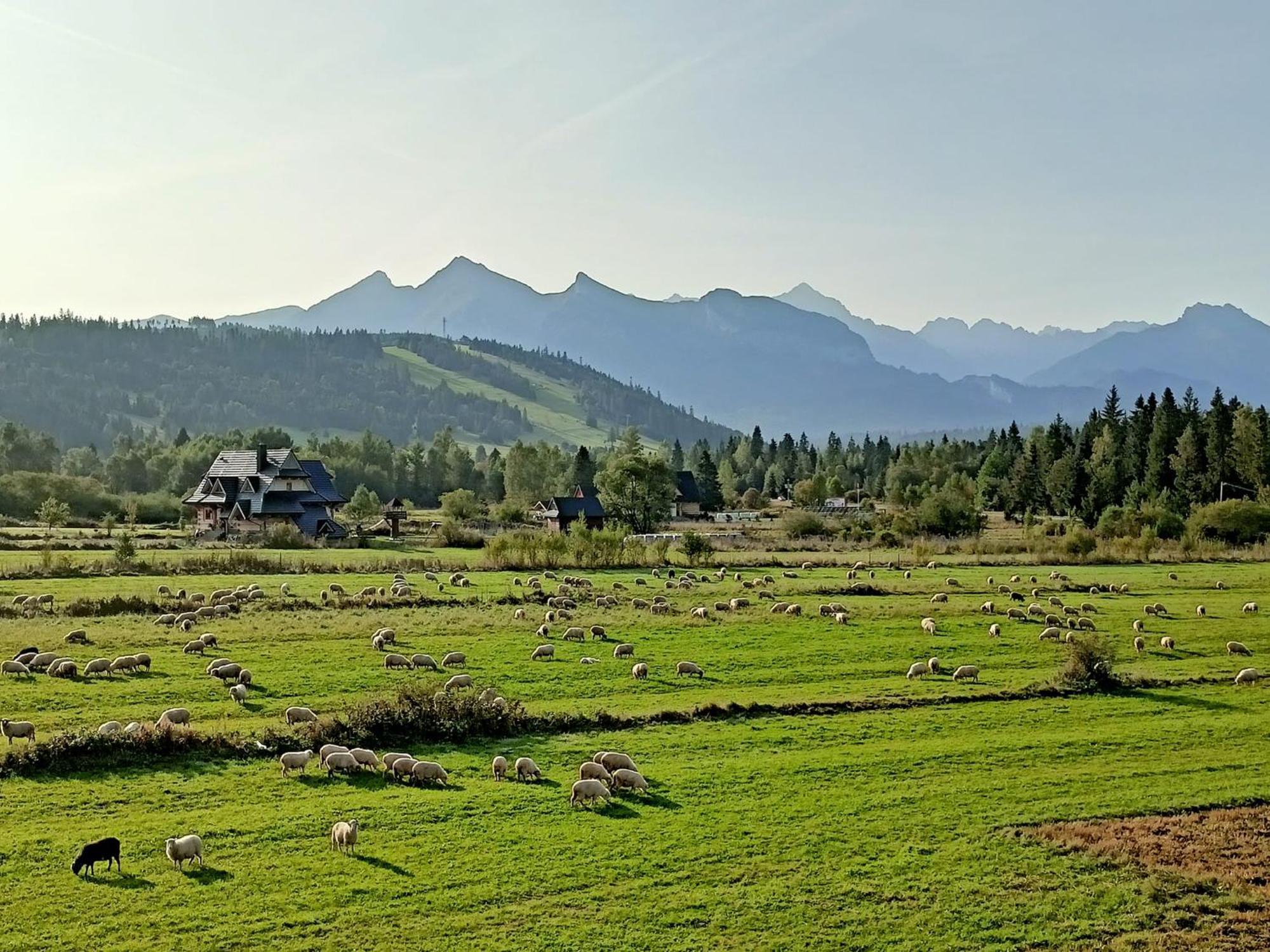 Domek Z Goralska Dusza Sleboda Jurgow Ngoại thất bức ảnh